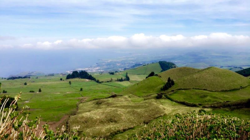 Azores fields