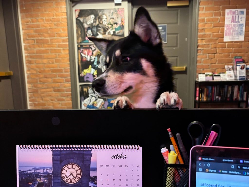 dog friendly coworking
