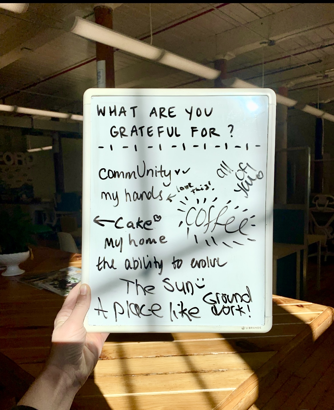 Whiteboard at Groundwork coworking space filled with handwritten gratitude notes including “community,” “coffee,” “cake,” “my home,” and “the sun,” surrounded by natural sunlight and a warm workspace atmosphere.