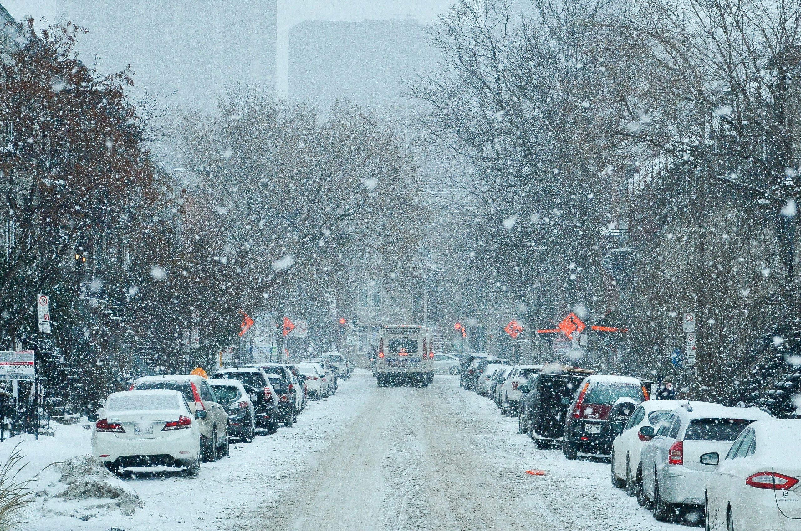Snow falling on a quiet city street lined with parked cars during winter, representing seasonal impacts on mood and productivity.